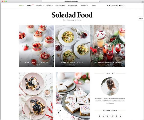 soledad Food wordpress theme free download