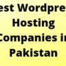Best Wordpress Hosting Companies in Pakistan